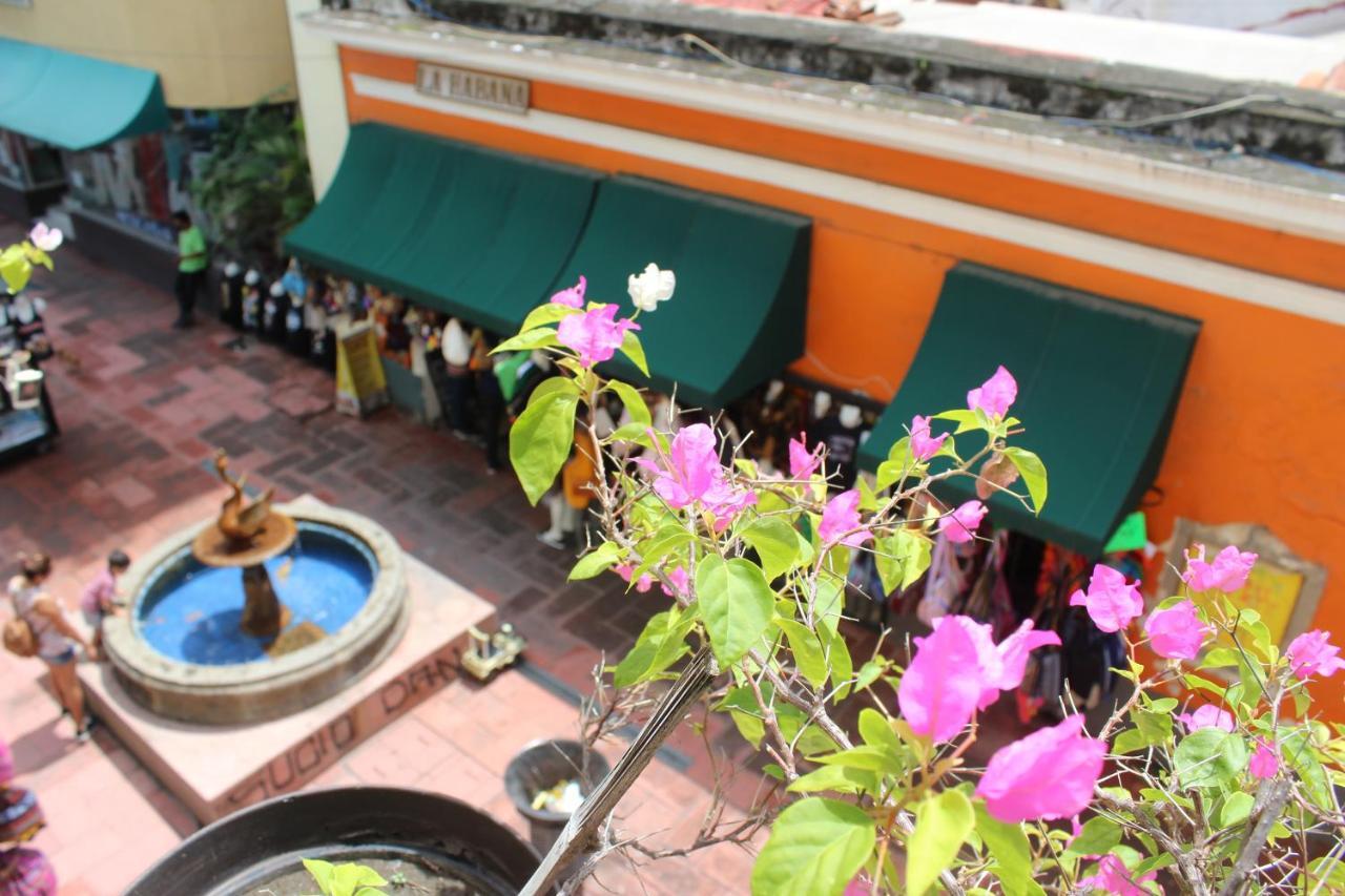 Hotel Concierge Plaza كوليما المظهر الخارجي الصورة